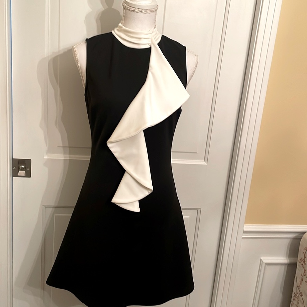 Venus Black & White Dress with Ruffle